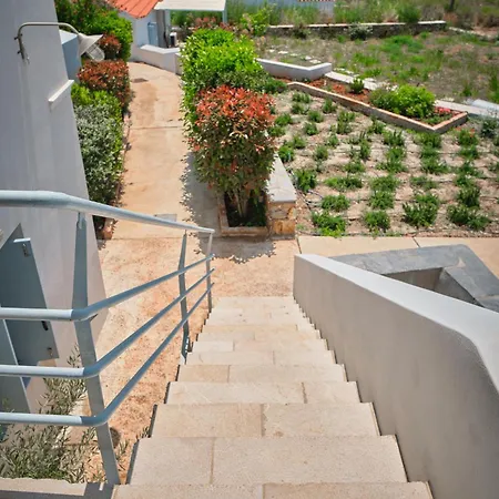Maira Arch House